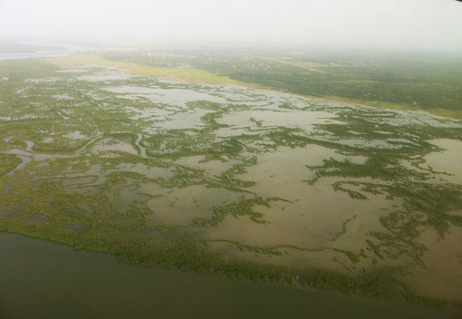 Le fleuve Casamance